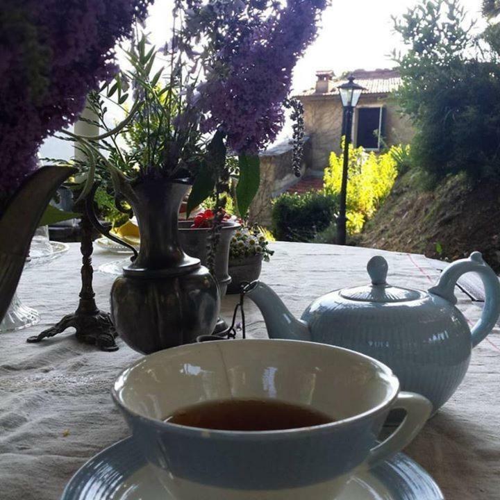 Villa Casa Emilia à Stazzema Extérieur photo